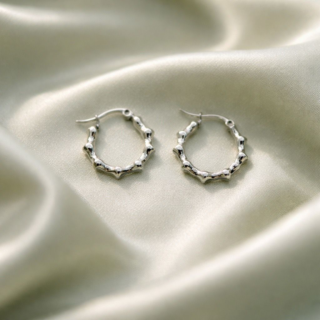 Stainless Steel Silver Hoop Earrings _ Design 1