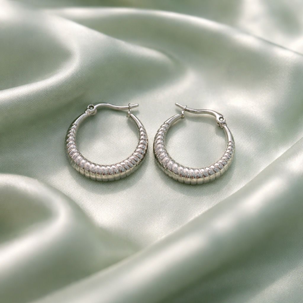 Stainless Steel Silver Hoop Earrings _ Design 2